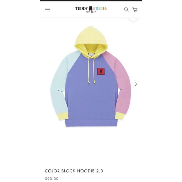 Teddy Fresh Womens Hoodie Pullover Sweatshirt Pastel Color Block Large XL Gen Z - Picture 2 of 14